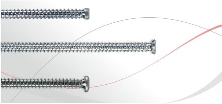 Assembly screws